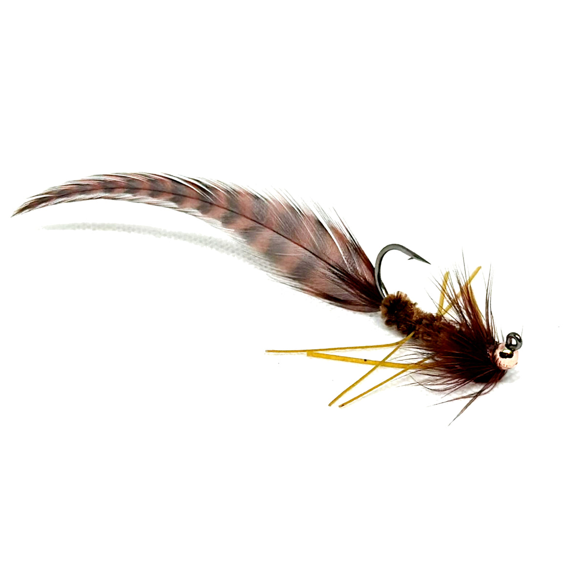 San Marcos Salamander – Flydrology