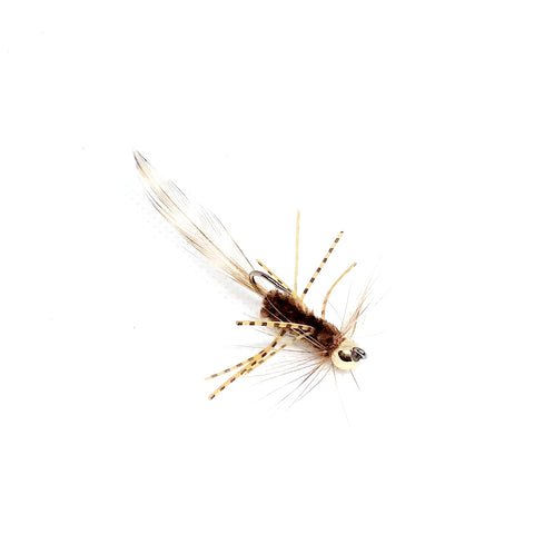 Rio Grande Cichlid Bundle – Flydrology